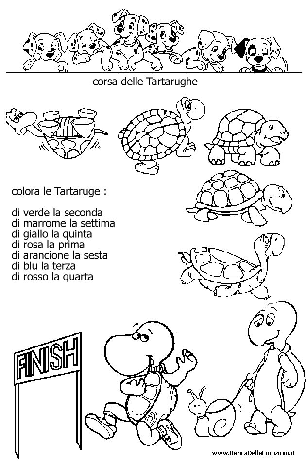 Aritmetica - Conoscere i numeri